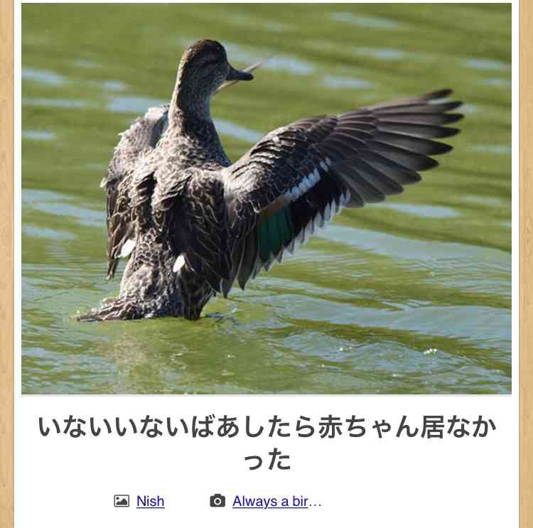 動物のboketeを貼るトピpart4