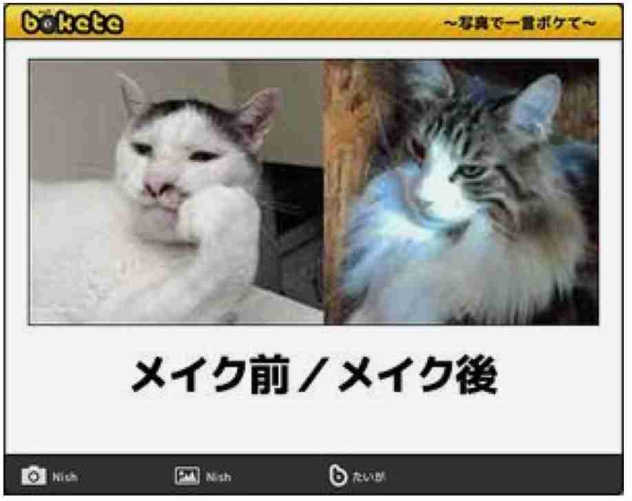 動物のboketeを貼るトピpart4
