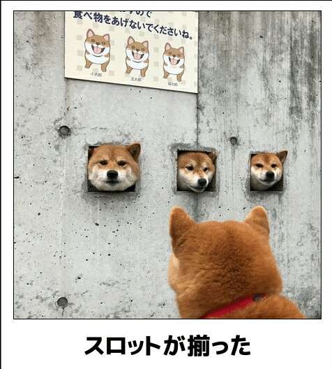 動物のboketeを貼るトピpart4