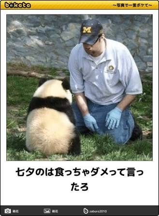 動物のboketeを貼るトピpart4