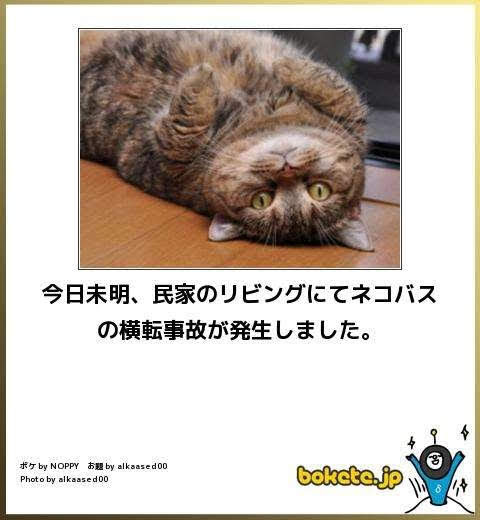 動物のboketeを貼るトピpart4