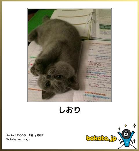 動物のboketeを貼るトピpart4