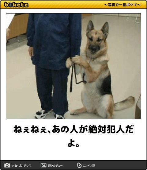 動物のboketeを貼るトピpart4