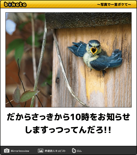 動物のboketeを貼るトピpart4