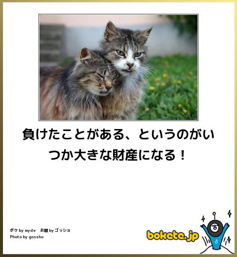 動物のboketeを貼るトピpart4
