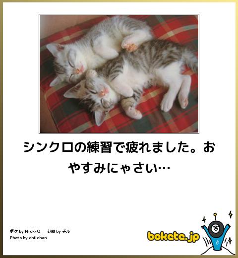 動物のboketeを貼るトピpart4