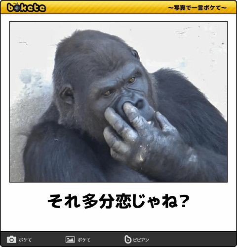 動物のboketeを貼るトピpart4
