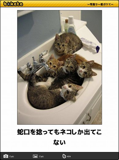 動物のboketeを貼るトピpart4