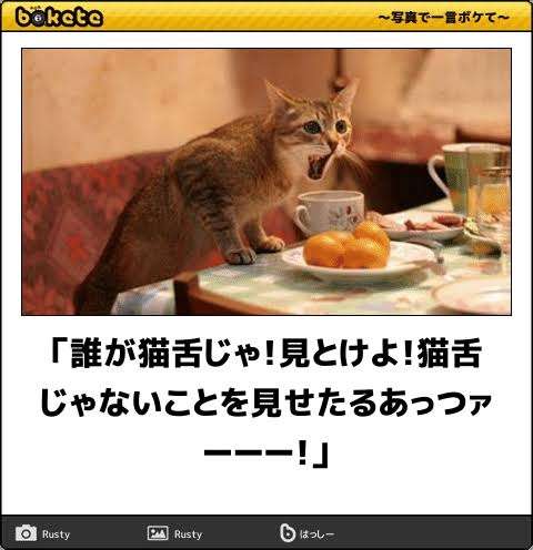 動物のboketeを貼るトピpart4