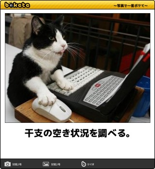 動物のboketeを貼るトピpart4