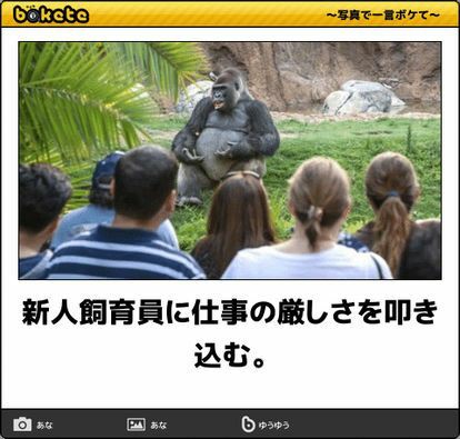 動物のboketeを貼るトピpart4