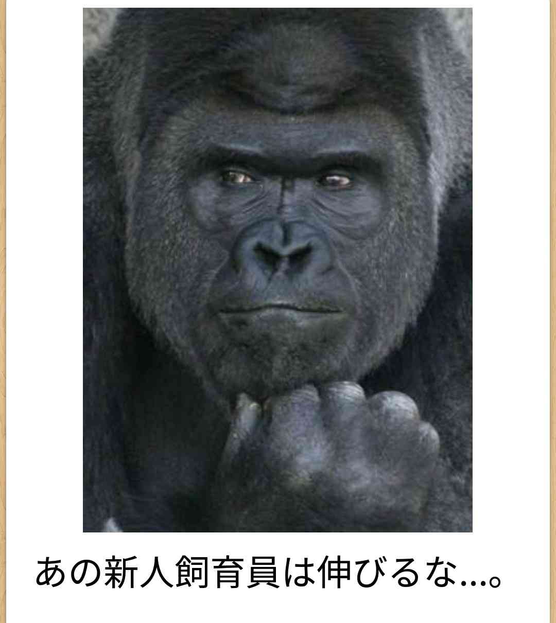 動物のboketeを貼るトピpart4