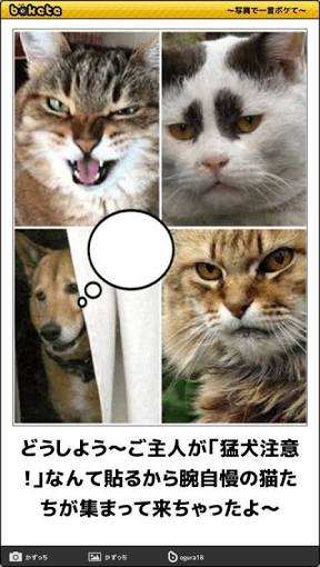 動物のboketeを貼るトピpart4