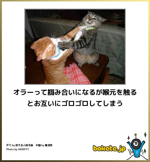 動物のboketeを貼るトピpart4