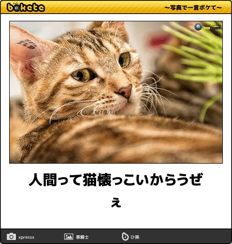 動物のboketeを貼るトピpart4