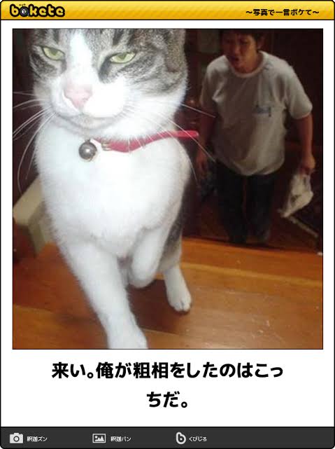 動物のboketeを貼るトピpart4