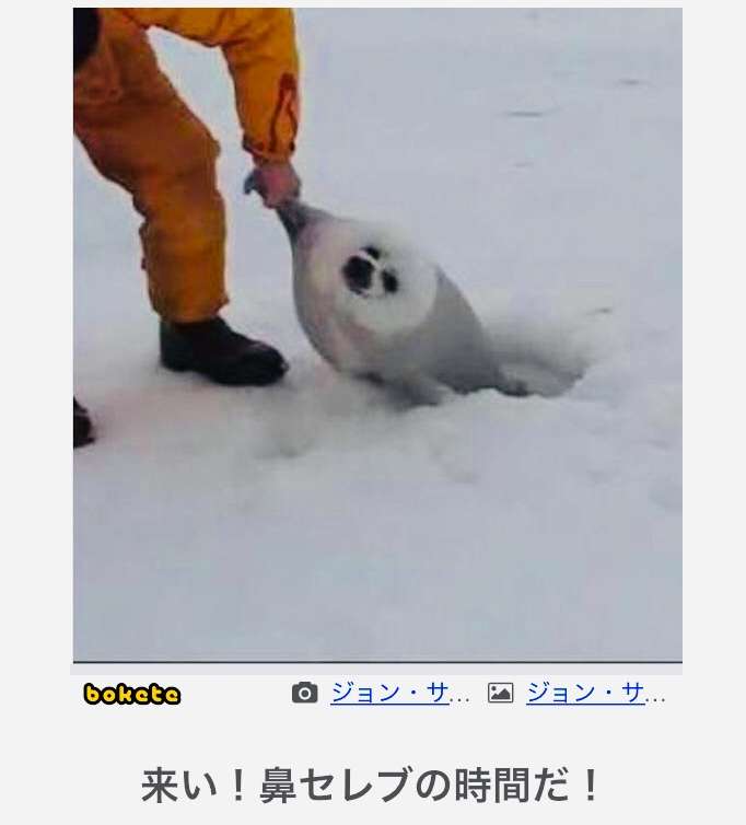 動物のboketeを貼るトピpart4