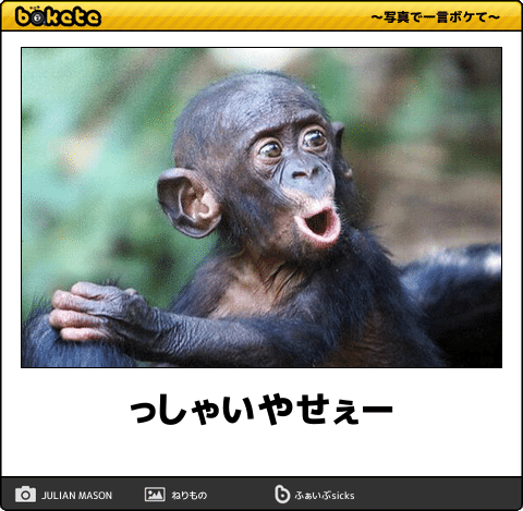 動物のboketeを貼るトピpart4