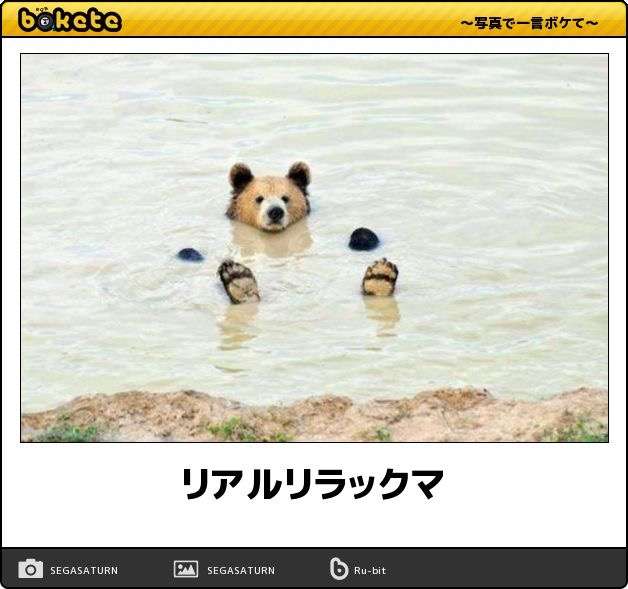 動物のboketeを貼るトピpart4