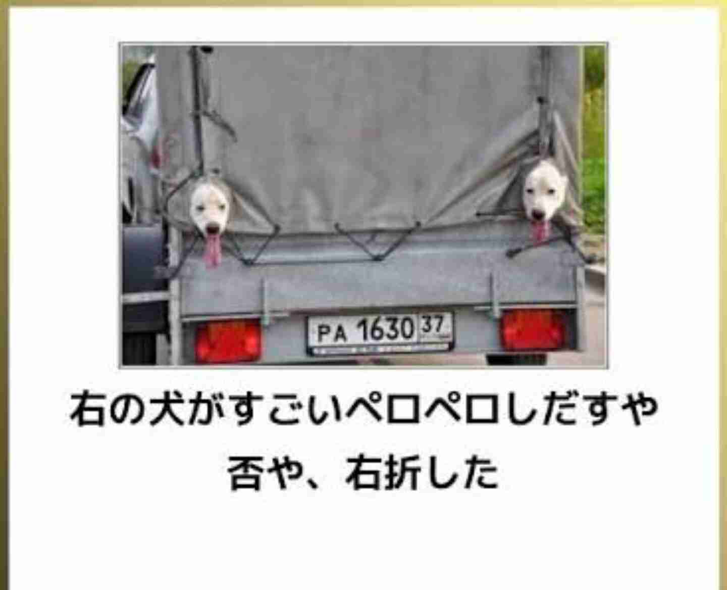 動物のboketeを貼るトピpart4