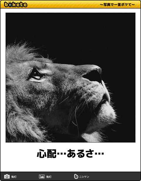 動物のboketeを貼るトピpart4