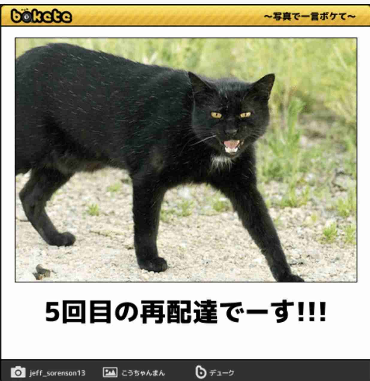 動物のboketeを貼るトピpart4