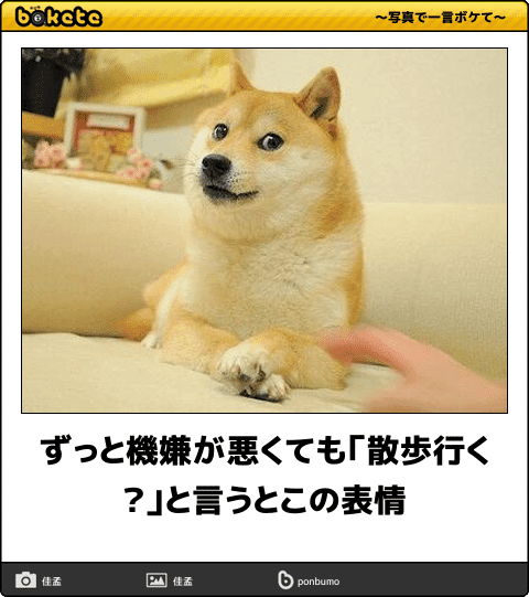 動物のboketeを貼るトピpart4