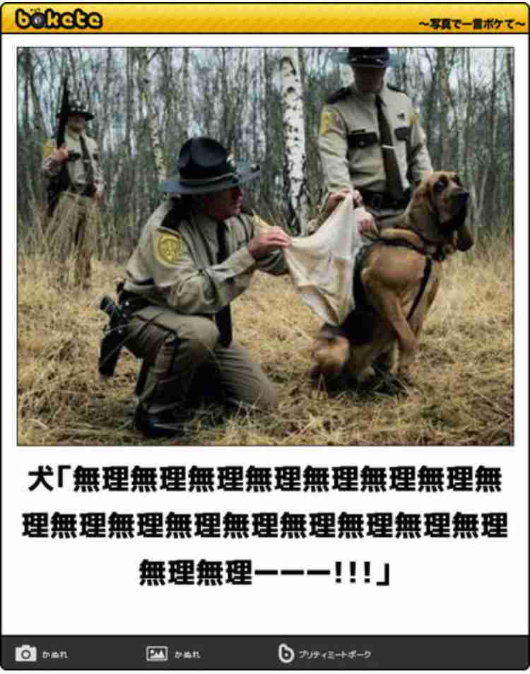 動物のboketeを貼るトピpart4