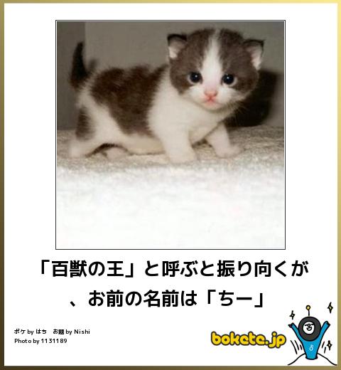 動物のboketeを貼るトピpart4