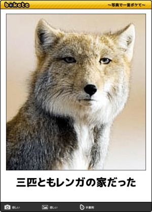 動物のboketeを貼るトピpart4