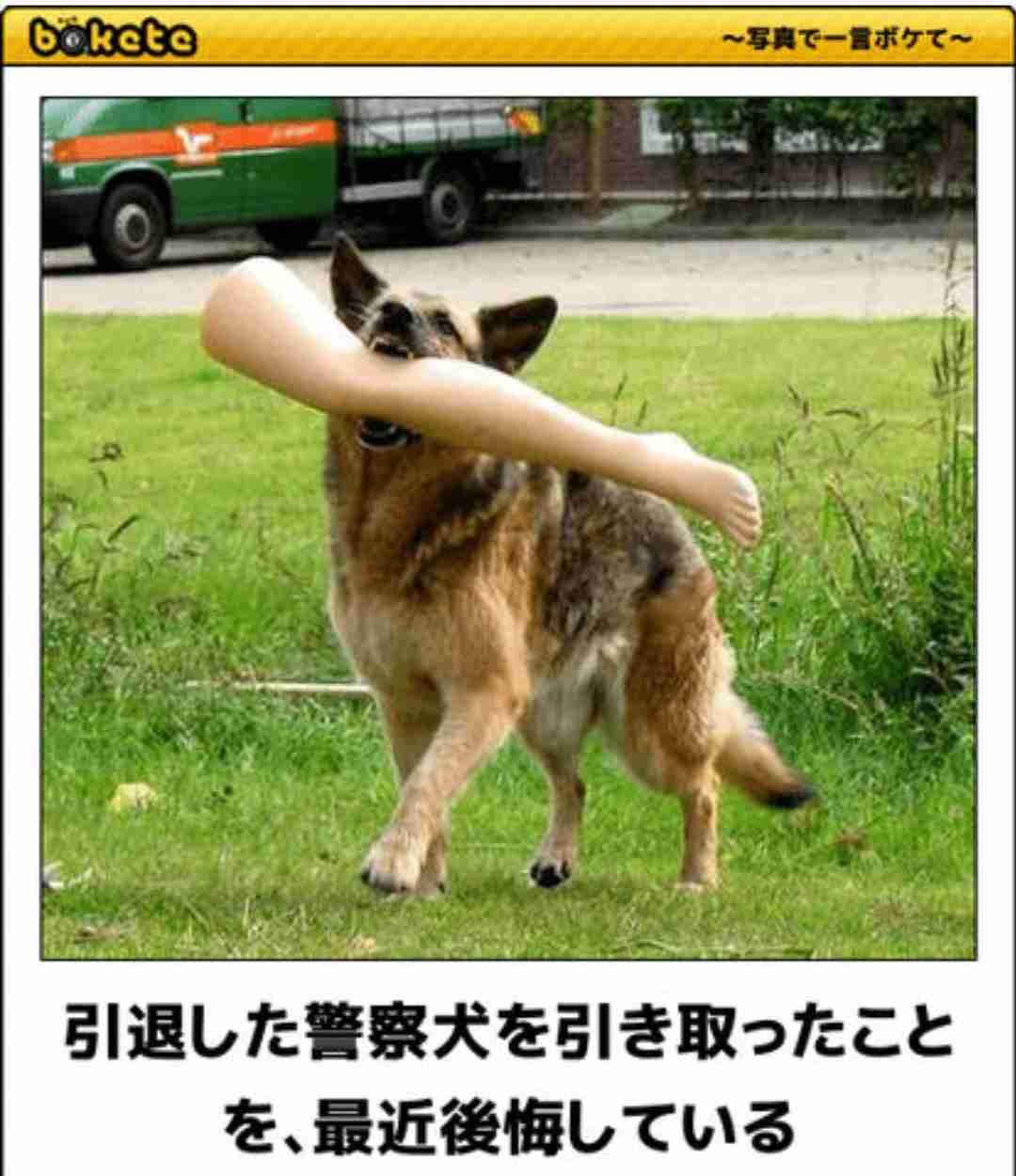 動物のboketeを貼るトピpart4