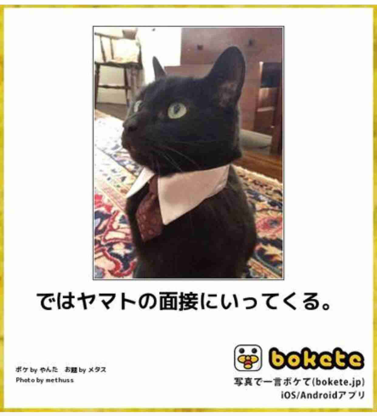 動物のboketeを貼るトピpart4