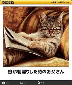 動物のboketeを貼るトピpart4