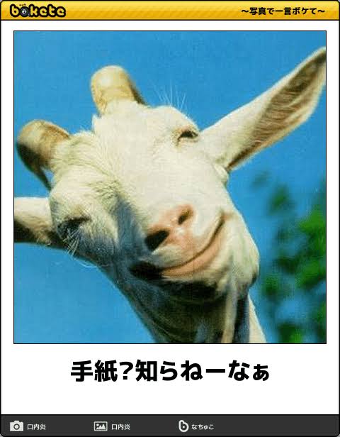 動物のboketeを貼るトピpart4