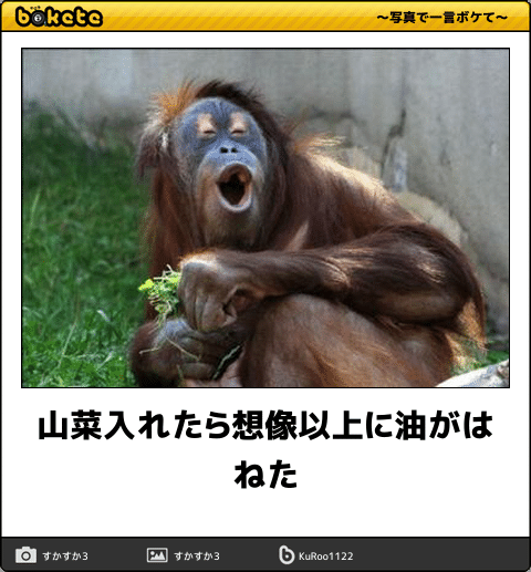 動物のboketeを貼るトピpart4