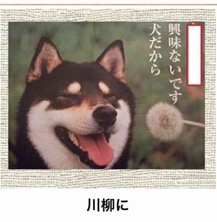 動物のboketeを貼るトピpart4