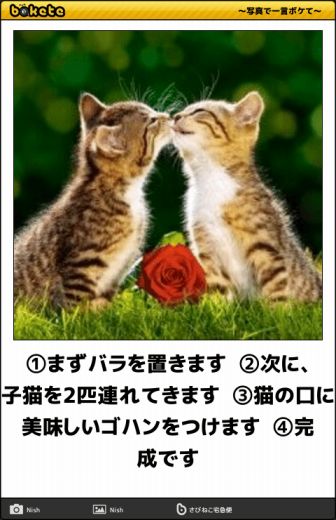 動物のboketeを貼るトピpart4