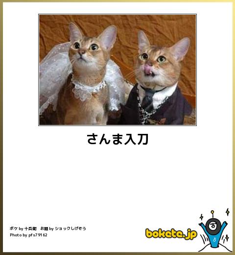 動物のboketeを貼るトピpart4