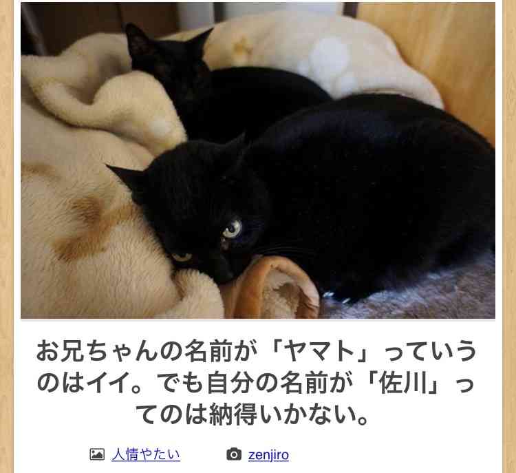 動物のboketeを貼るトピpart4