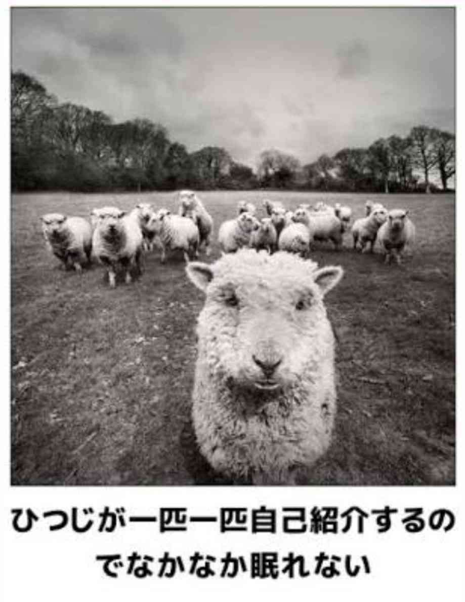 動物のboketeを貼るトピpart4