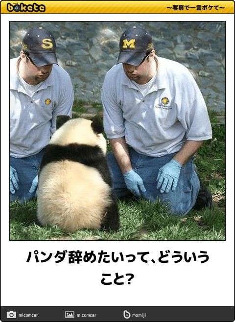 動物のboketeを貼るトピpart4