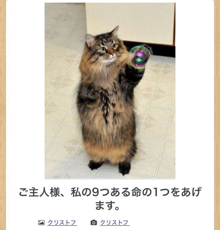 動物のboketeを貼るトピpart4