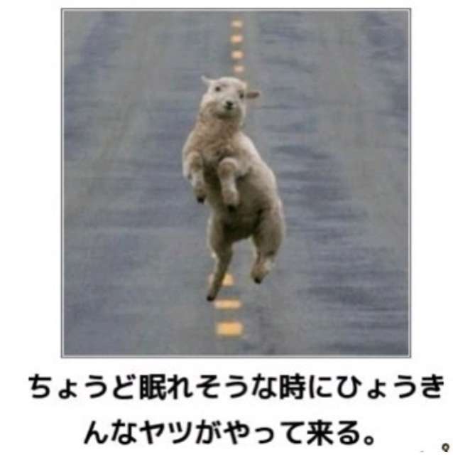 動物のboketeを貼るトピpart4
