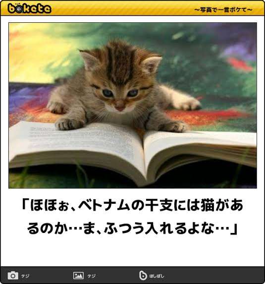 動物のboketeを貼るトピpart4