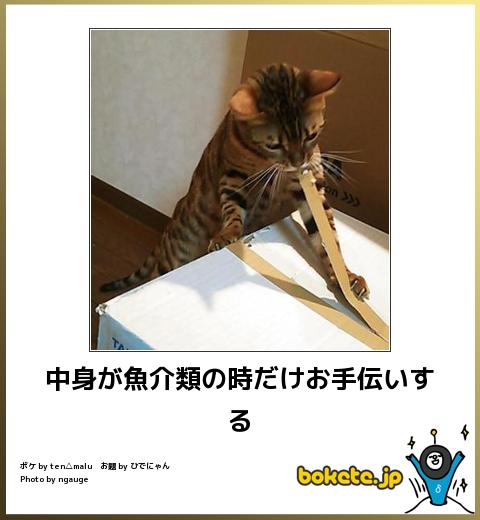 動物のboketeを貼るトピpart4