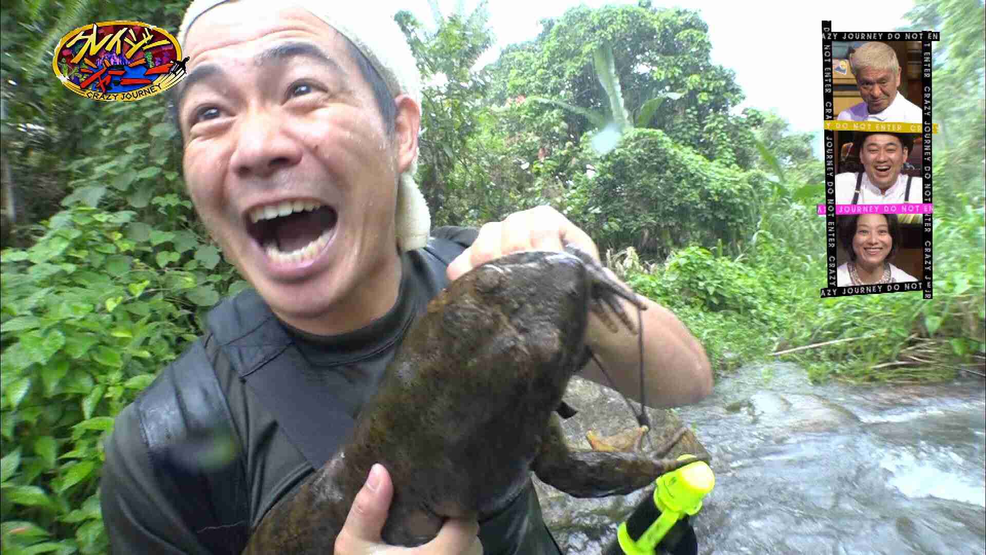 知ってる人と知らない人が半々くらいになりそうな芸能人 part2