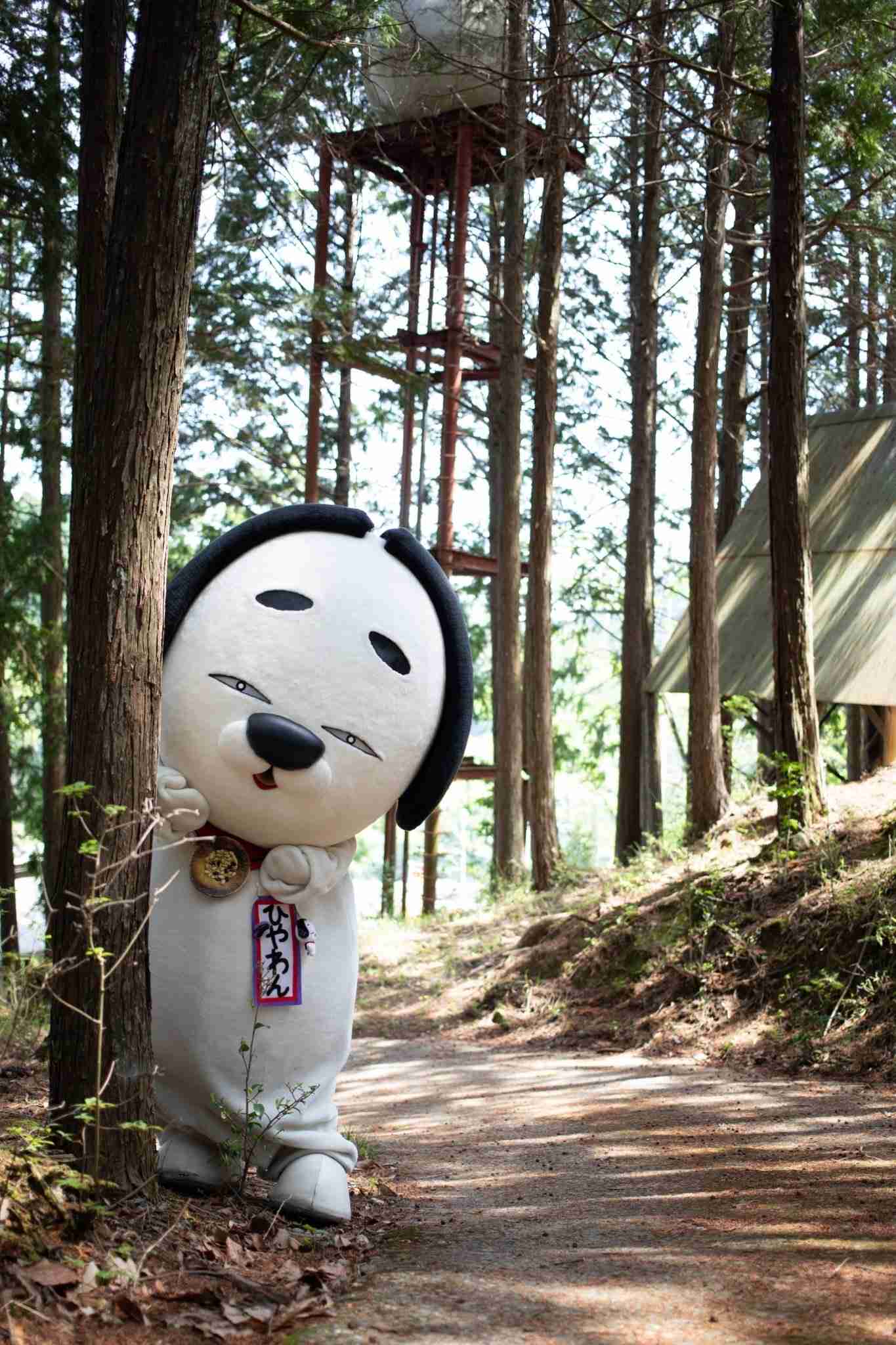 何度も見てしまう動画