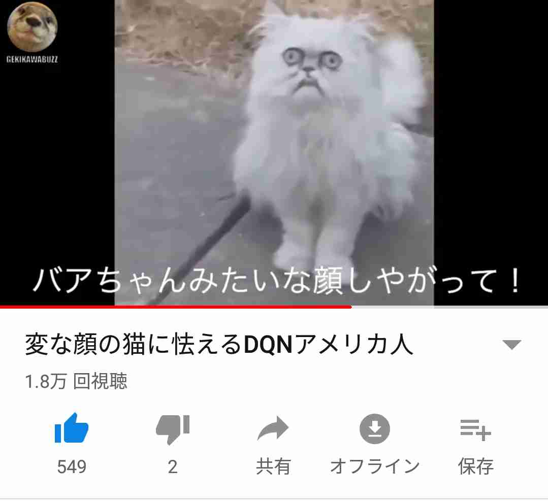 何度も見てしまう動画