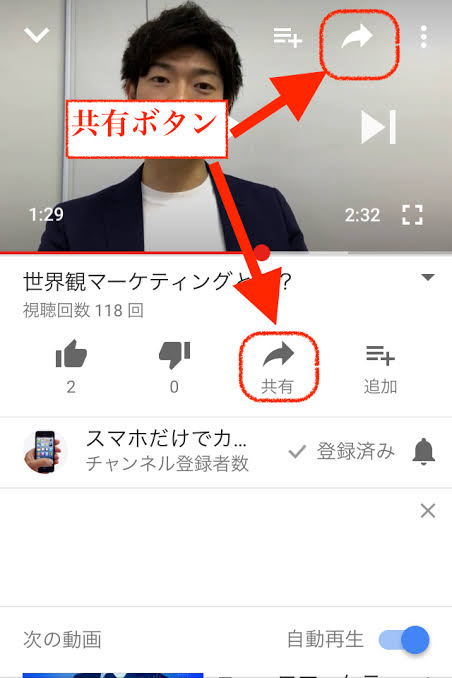 何度も見てしまう動画