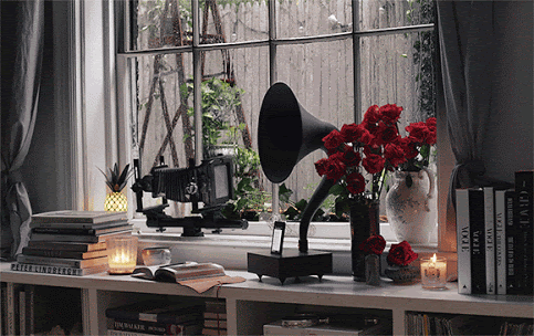 何度も見てしまう動画